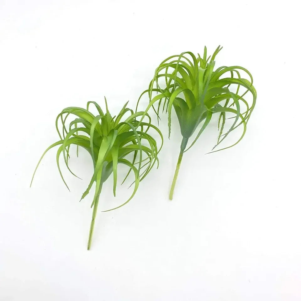 4 Pack Artificial Faux Air Plants Grass Tillandsia Bromeliads for Home Decor Terrarium Project Greenery